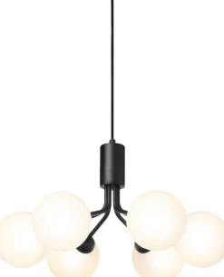 Apiales 6, satin black / opal