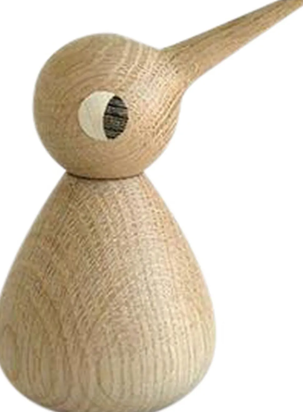 Bird stor egetræ natur