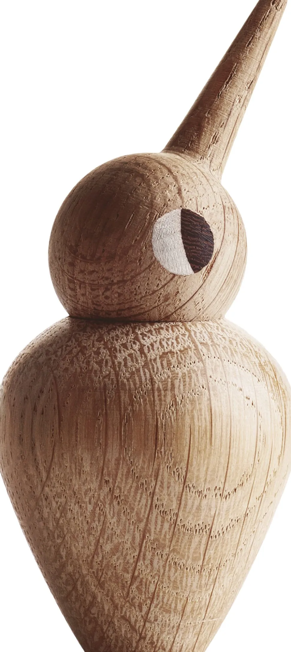 Bird stor egetræ natur