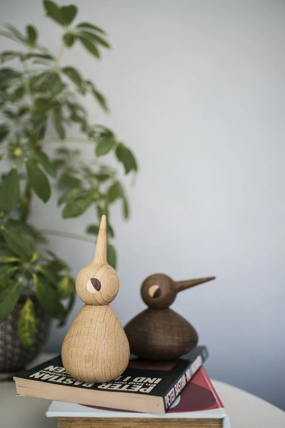 Bird stor egetræ natur