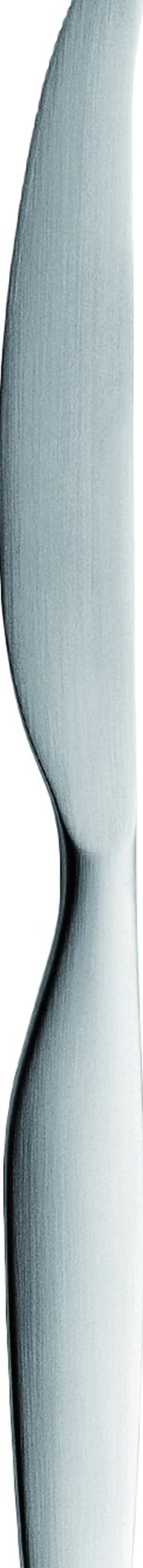 Citterio 98 kniv mat