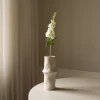 Delphinium Flower