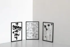 Frame ramme A5