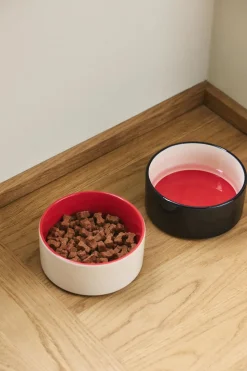 HAY Dogs Bowl-Small-Red, blue