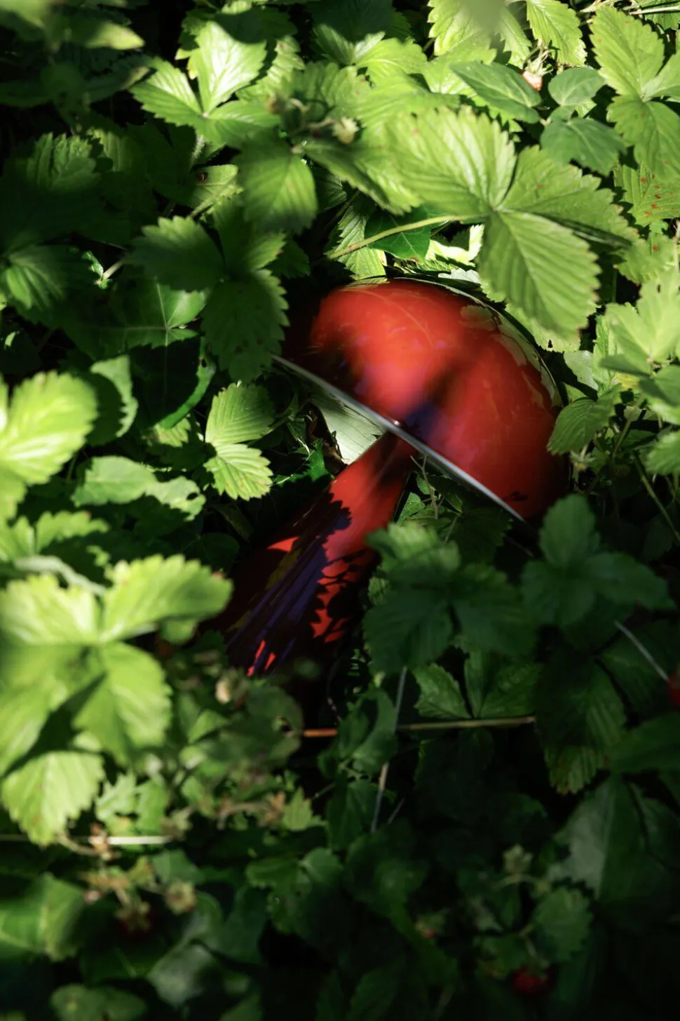 Mush Portable Lamp Red