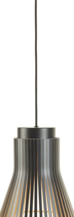 Petite 4600, Pendel