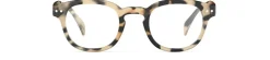 READING #C Light Tortoise