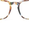 READING #E Blue Tortoise