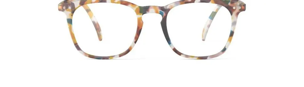 READING #E Blue Tortoise