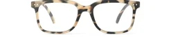 READING #L Light Tortoise