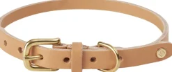Robin Hundehalsbånd - Medium