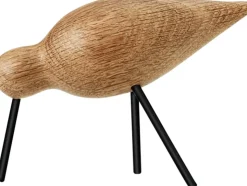 Shorebird mell Sort
