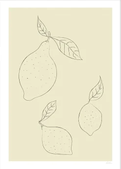 SIMPLE LEMON