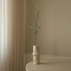 Snow Willow Branch