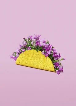 Super Mercat - Flower Taco