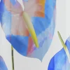 Termoflaske - Clima - Cosmic Flowers 500 ml