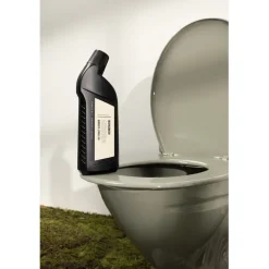 Toilet cleaner