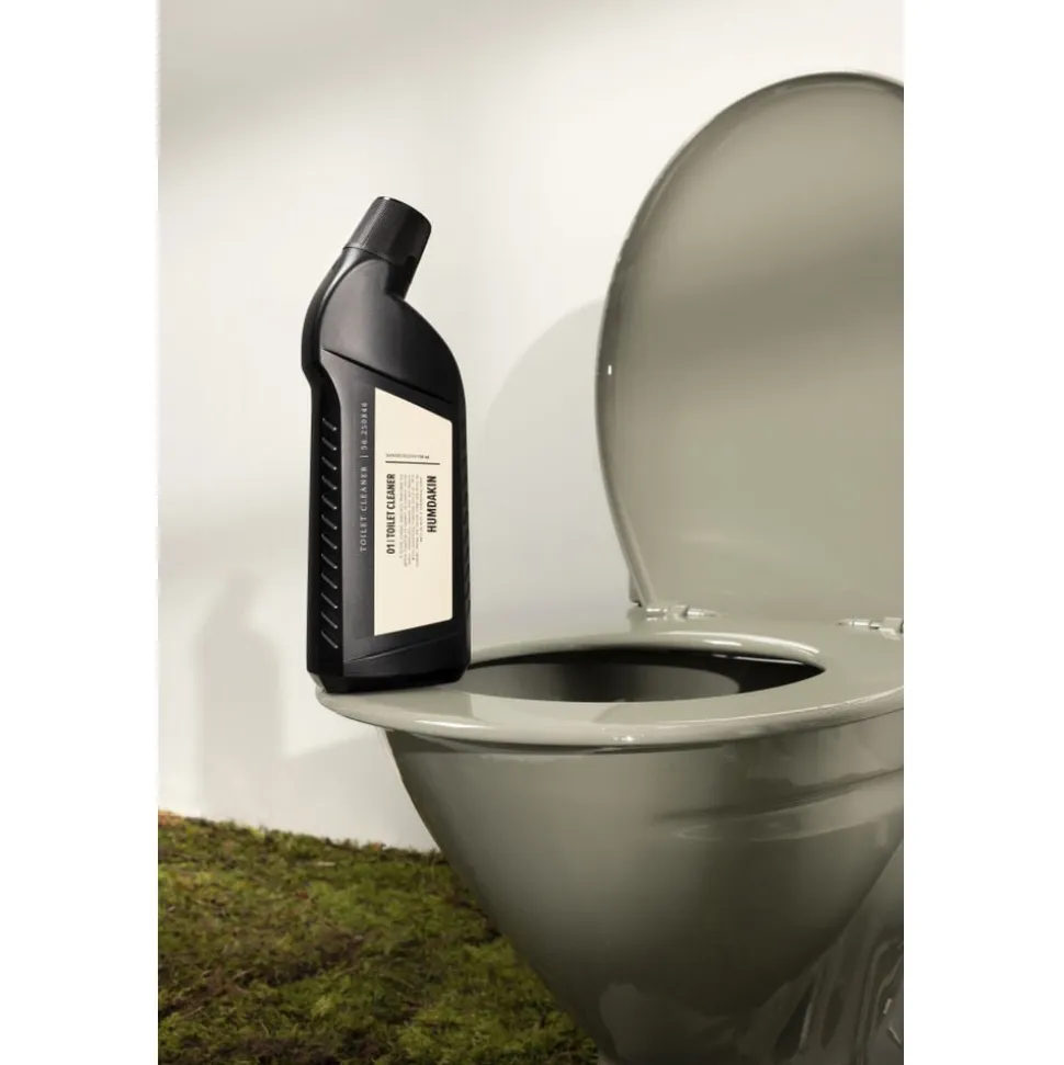Toilet cleaner