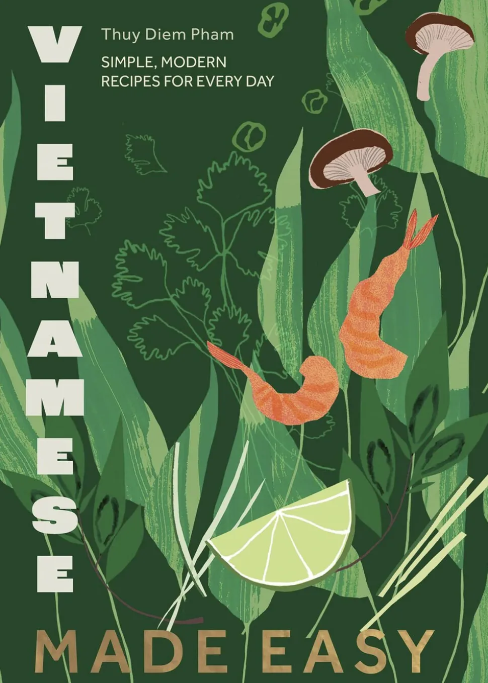 Vietnamese Made Easy