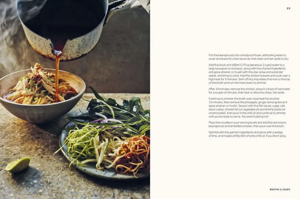 Vietnamese Made Easy