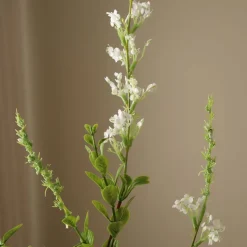 Wild Flower